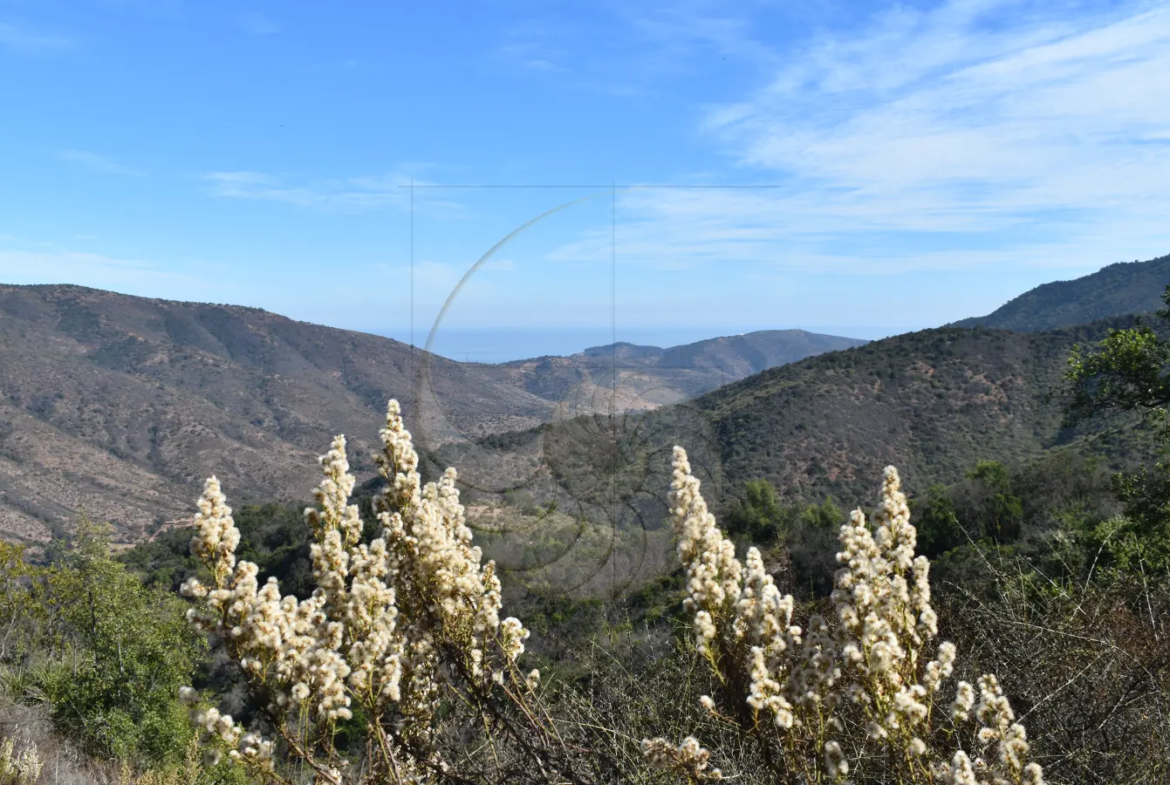 Carcacola Propiedades Terreno vista panorámica cerca de Maitencillo1