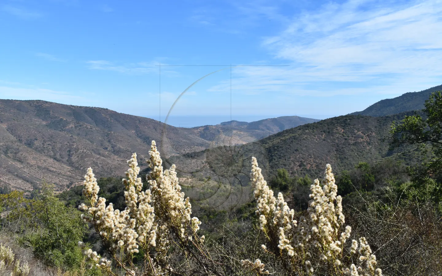 Carcacola Propiedades Terreno vista panorámica cerca de Maitencillo1