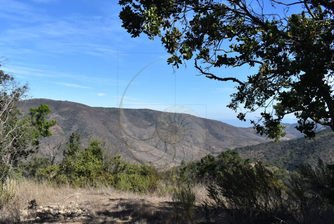 Carcacola Propiedades Terreno vista panorámica cerca de Maitencillo3