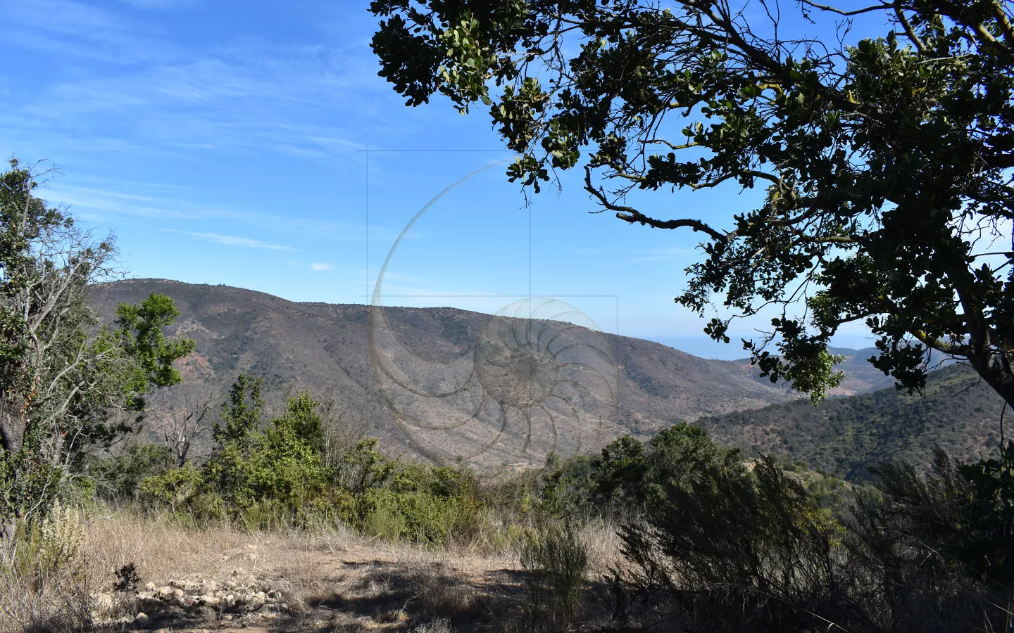 Carcacola Propiedades Terreno vista panorámica cerca de Maitencillo3