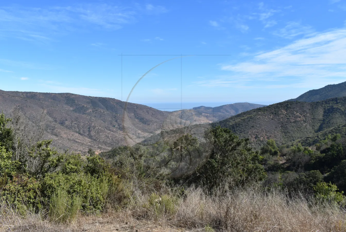 Carcacola Propiedades Terreno vista panorámica cerca de Maitencillo5