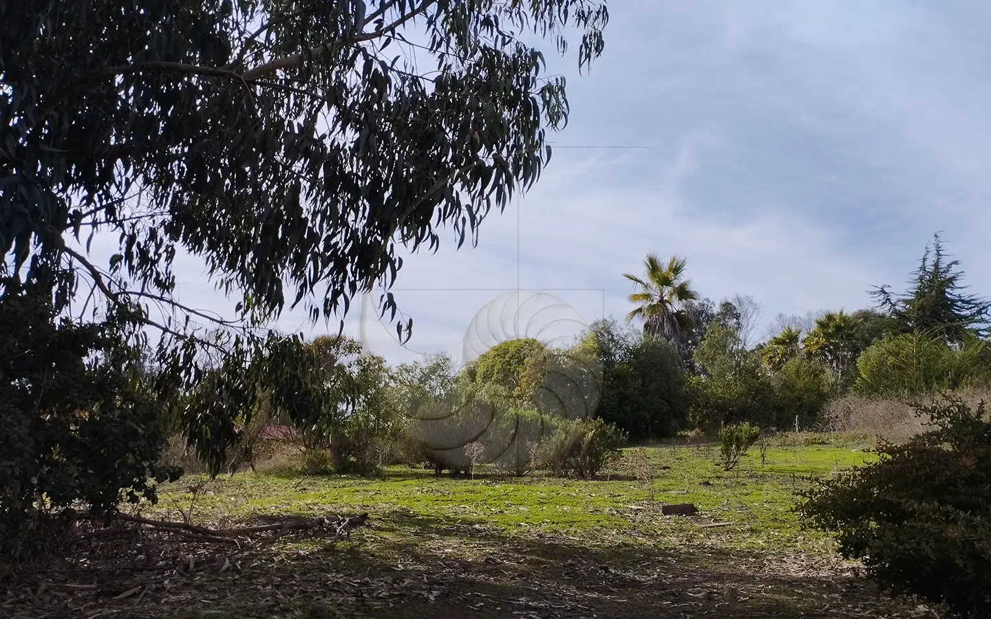 Carcacola Propiedades en venta Camino Viejo1