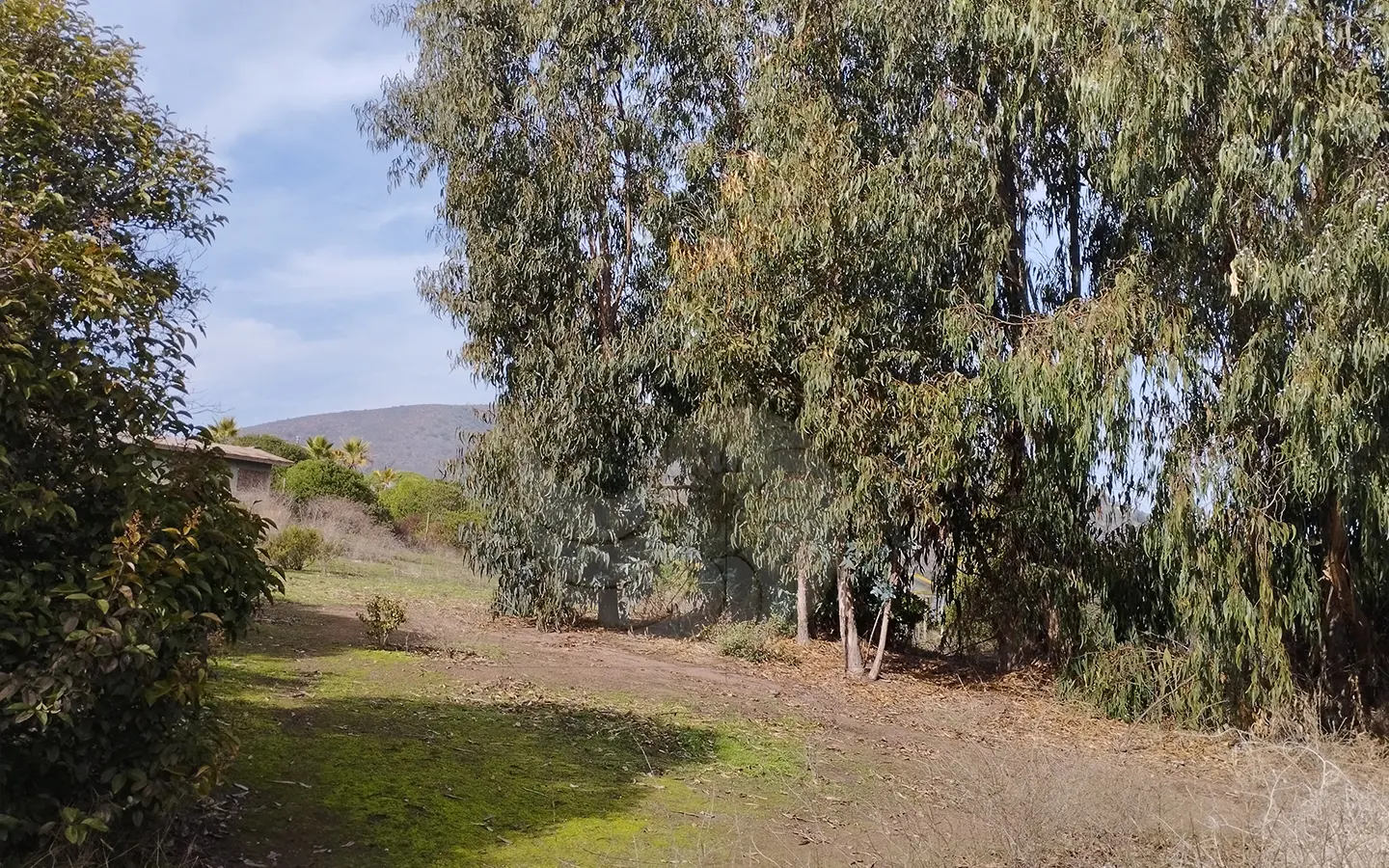 Carcacola Propiedades en venta Camino Viejo2