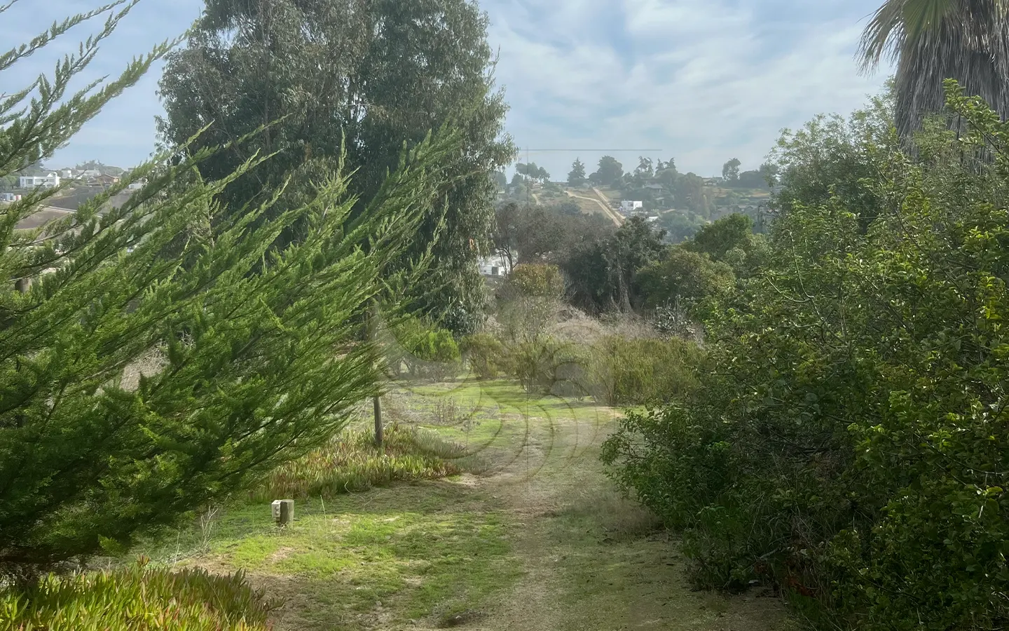 Carcacola Propiedades en venta Camino Viejo4