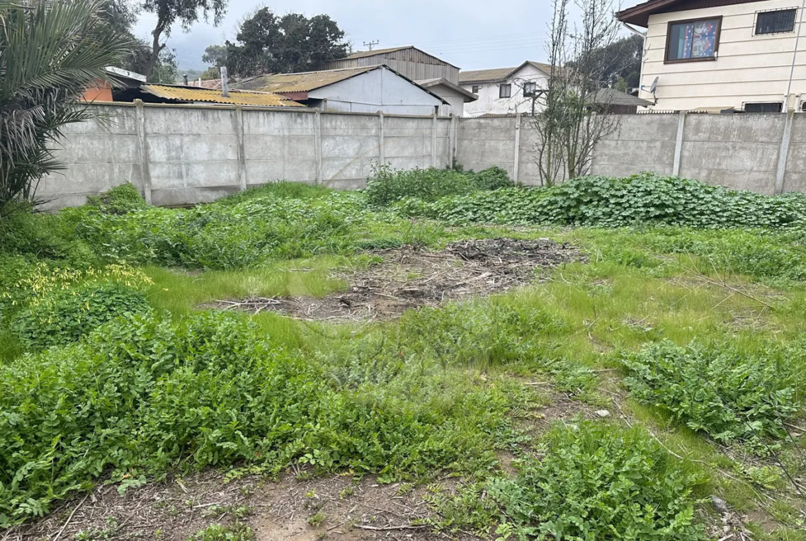 Carcacola Propiedades en venta en Centro de Laguna de Zapallar3