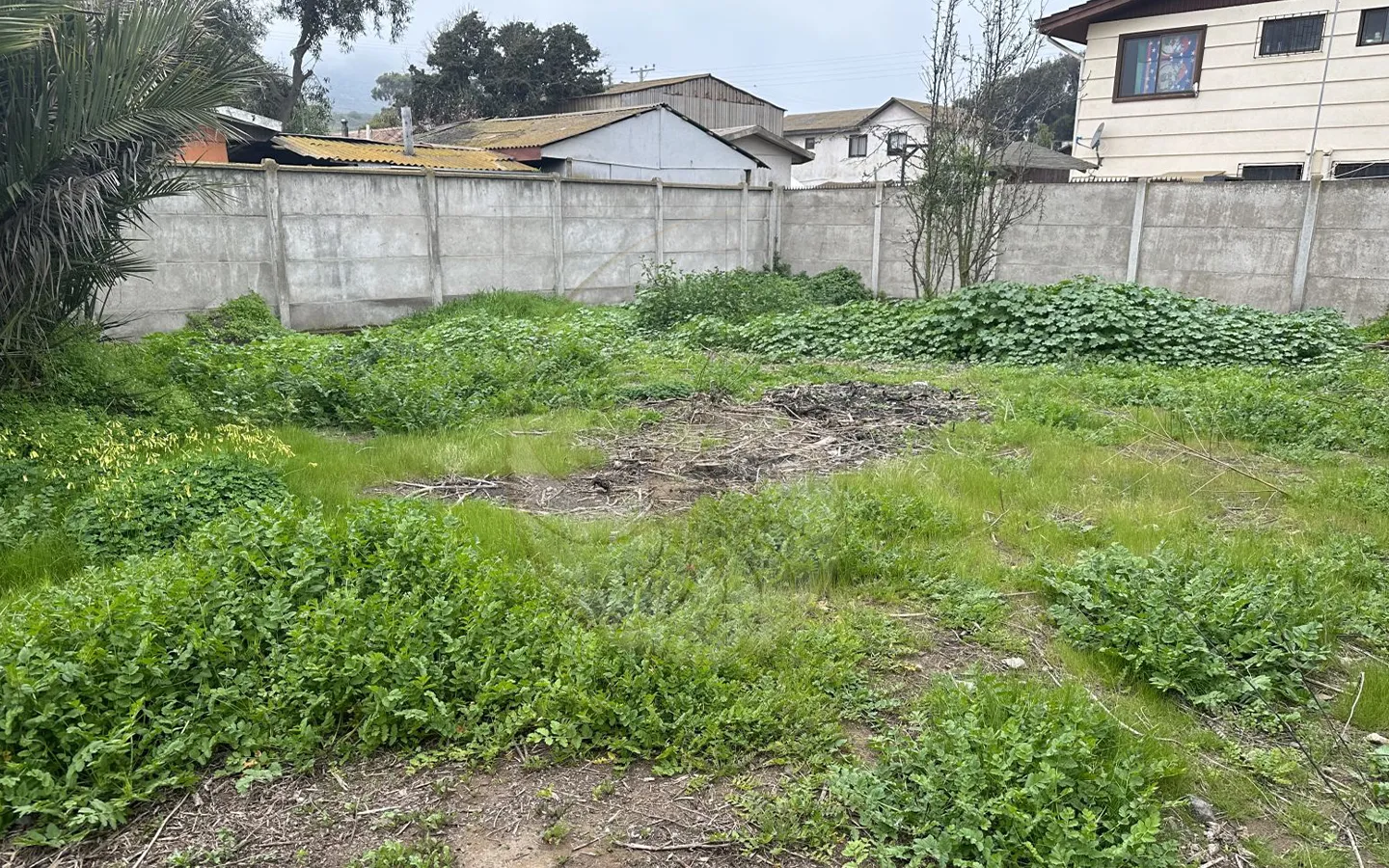 Carcacola Propiedades en venta en Centro de Laguna de Zapallar3