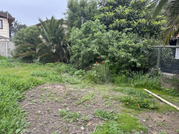 Carcacola Propiedades en venta en Centro de Laguna de Zapallar5