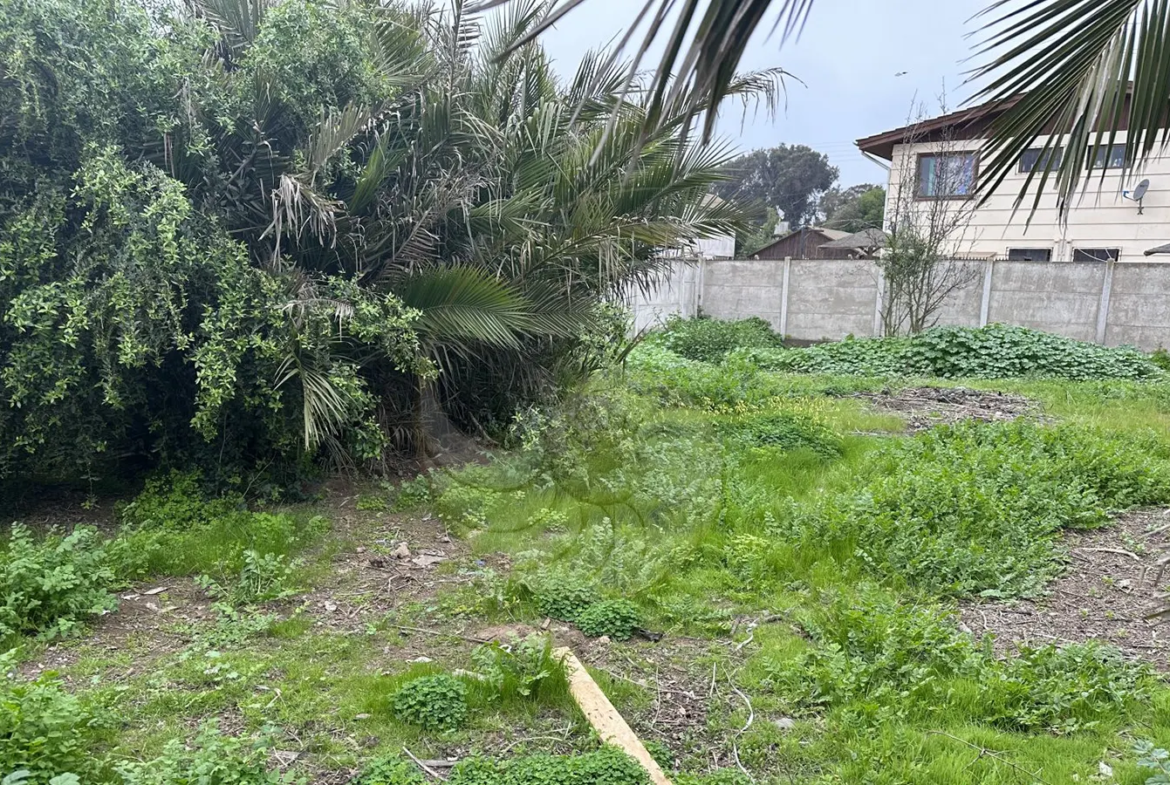 Carcacola Propiedades en venta en Centro de Laguna de Zapallar6
