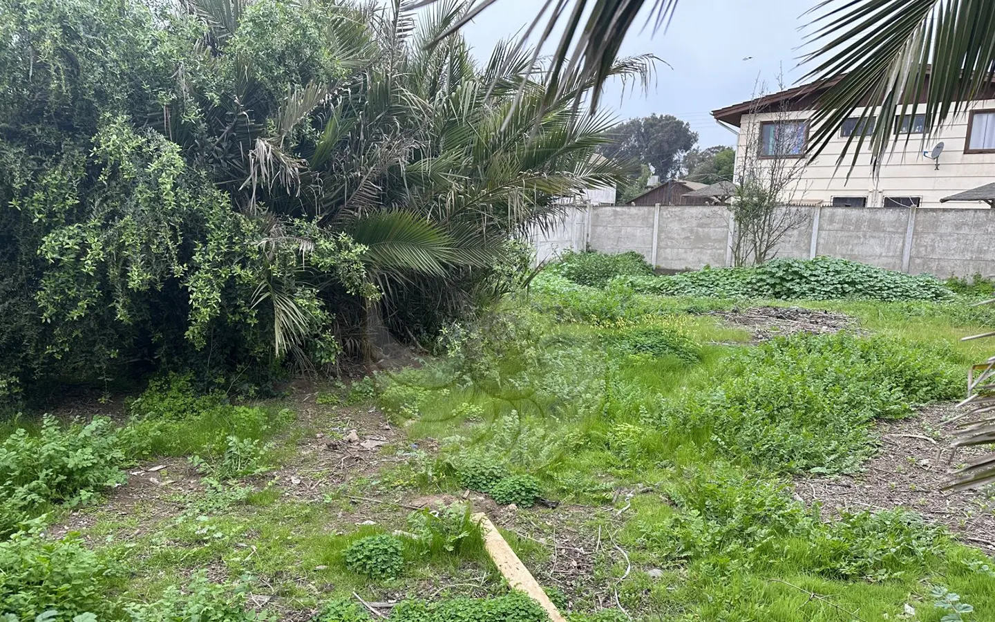 Carcacola Propiedades en venta en Centro de Laguna de Zapallar6
