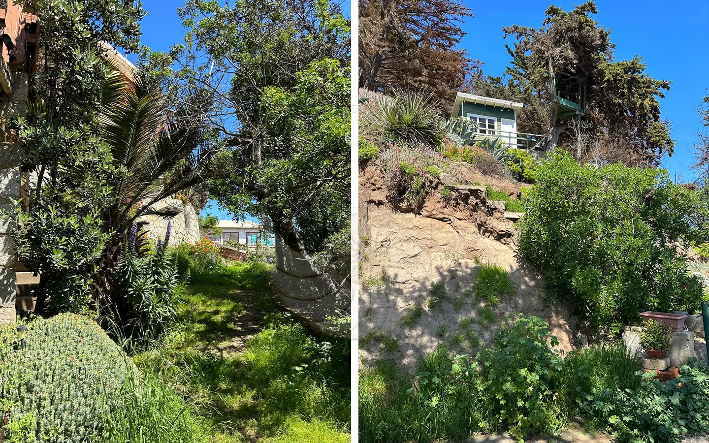 Caracola Propiedades Increíble terreno en venta en Maitencillo11