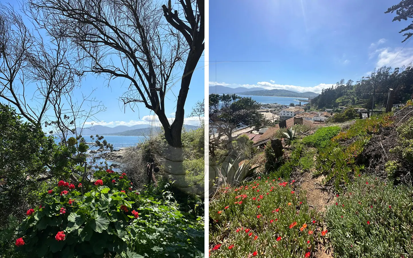 Caracola Propiedades Increíble terreno en venta en Maitencillo12