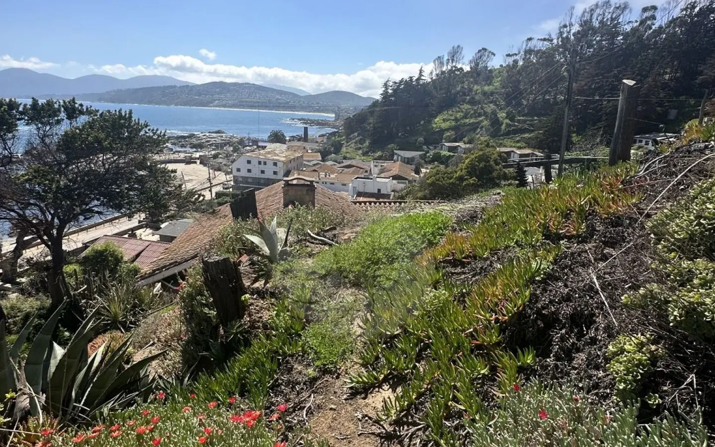 Caracola Propiedades Increíble terreno en venta en Maitencillo5