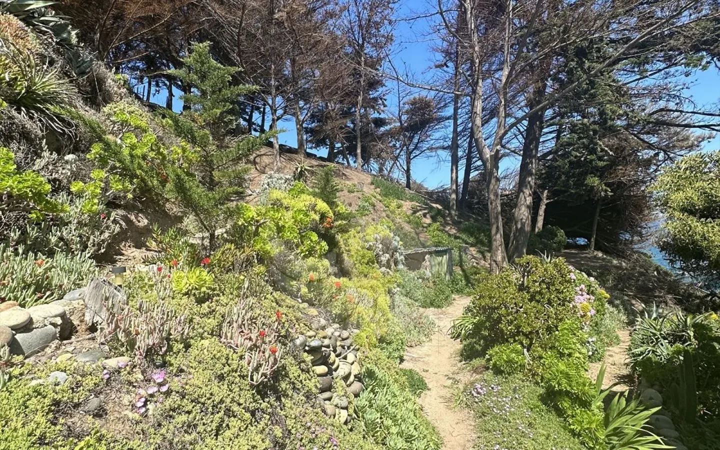 Caracola Propiedades Increíble terreno en venta en Maitencillo8