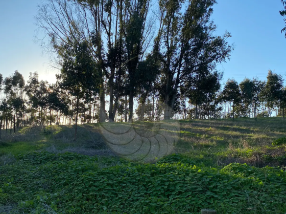 Carcacola Propiedades sitio en venta sector Las Gaviotas1
