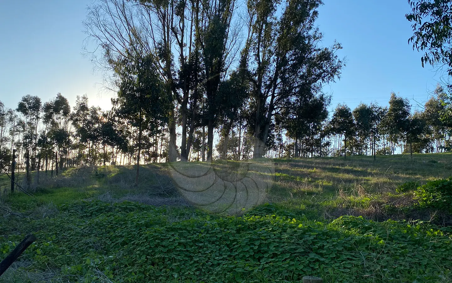 Carcacola Propiedades sitio en venta sector Las Gaviotas1