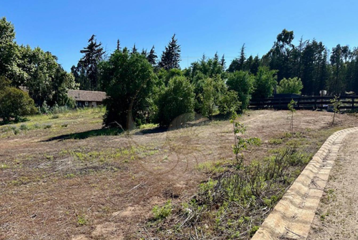 Caracola-Propiedades-terreno-en-condominio-en-Maitencillo12