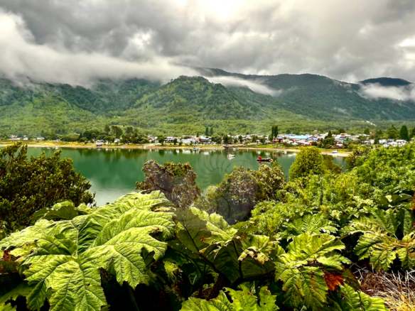 Caracola Propiedades sitio en venta en Puyuhuapi1