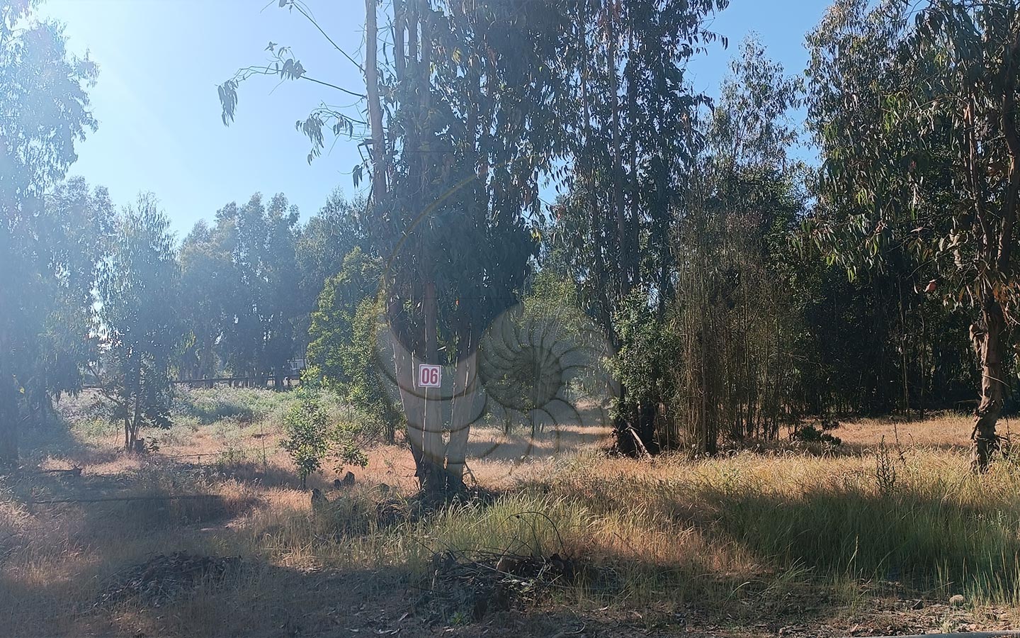 Caracola-Propiedades-terreno-en-venta-en-condominio-de-maitencillo10