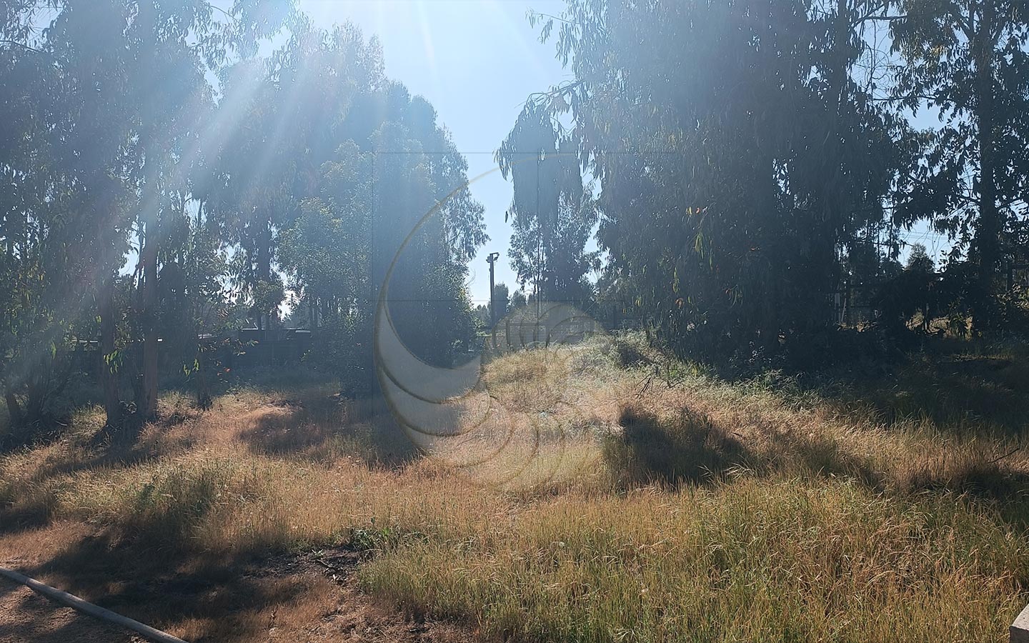 Caracola-Propiedades-terreno-en-venta-en-condominio-de-maitencillo14