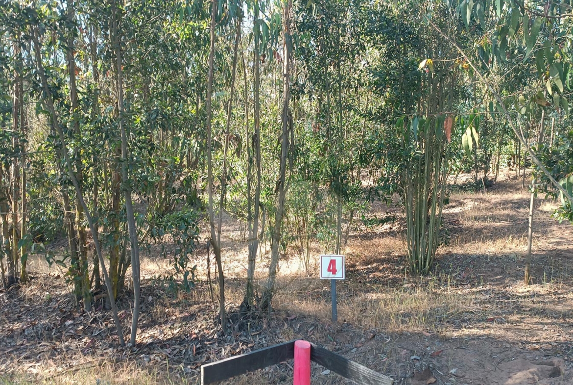 Caracola-Propiedades-terreno-en-venta-en-condominio-de-maitencillo5