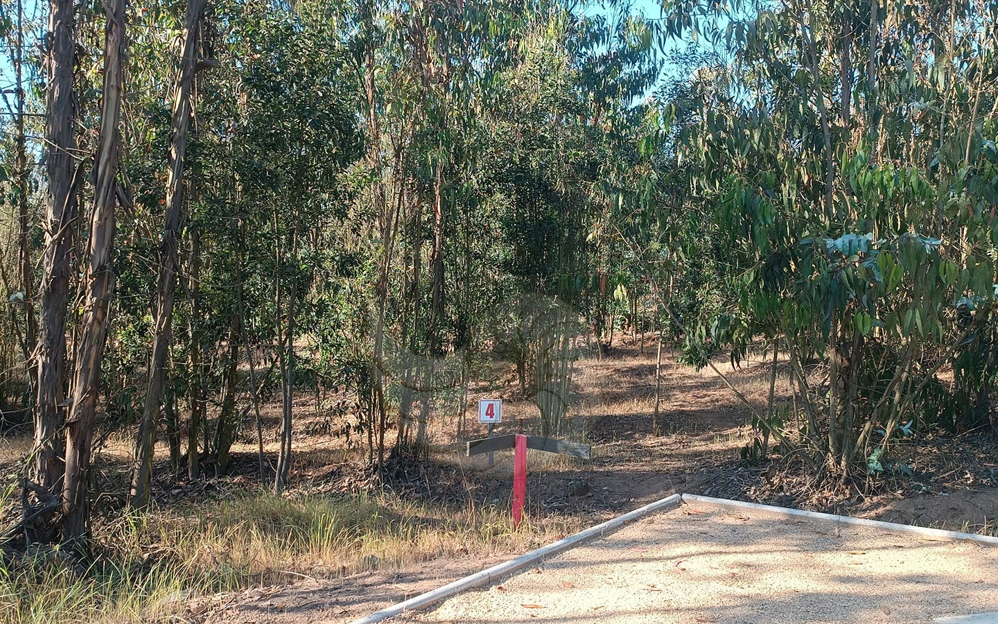 Caracola-Propiedades-terreno-en-venta-en-condominio-de-maitencillo6