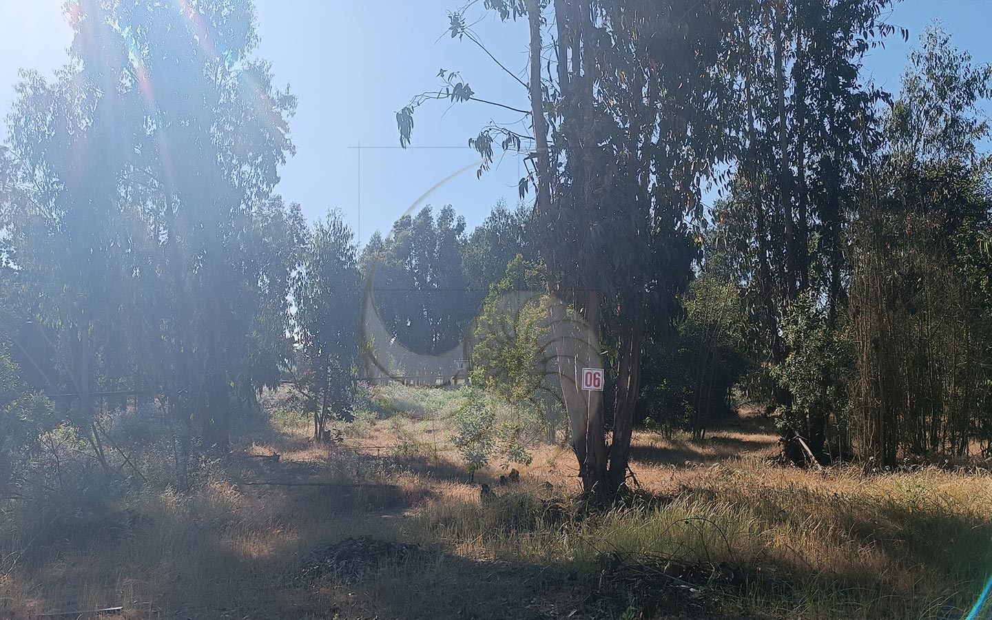 Caracola-Propiedades-terreno-en-venta-en-condominio-de-maitencillo9