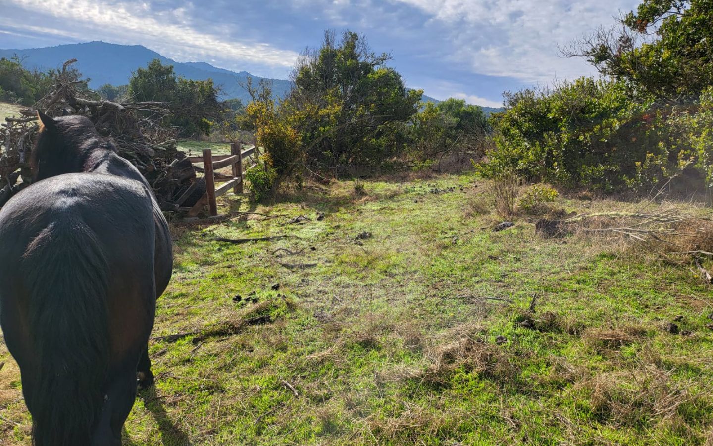 Caracola Propiedades Terreno en venta en Cachagua alto 10