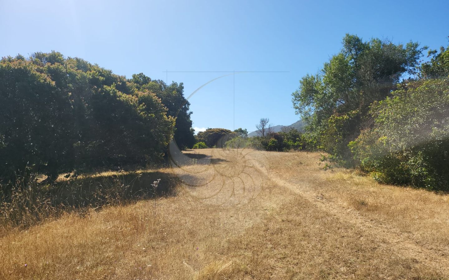 Caracola Propiedades Terreno en venta en Cachagua alto 11