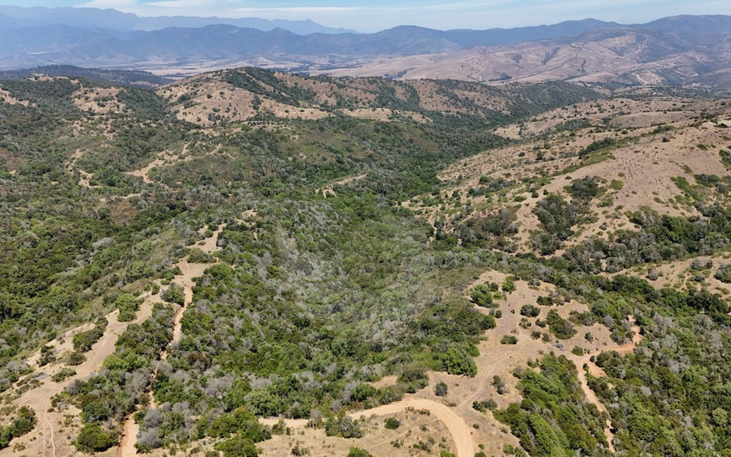 Caracola Propiedades Terreno en venta en Cachagua alto 12