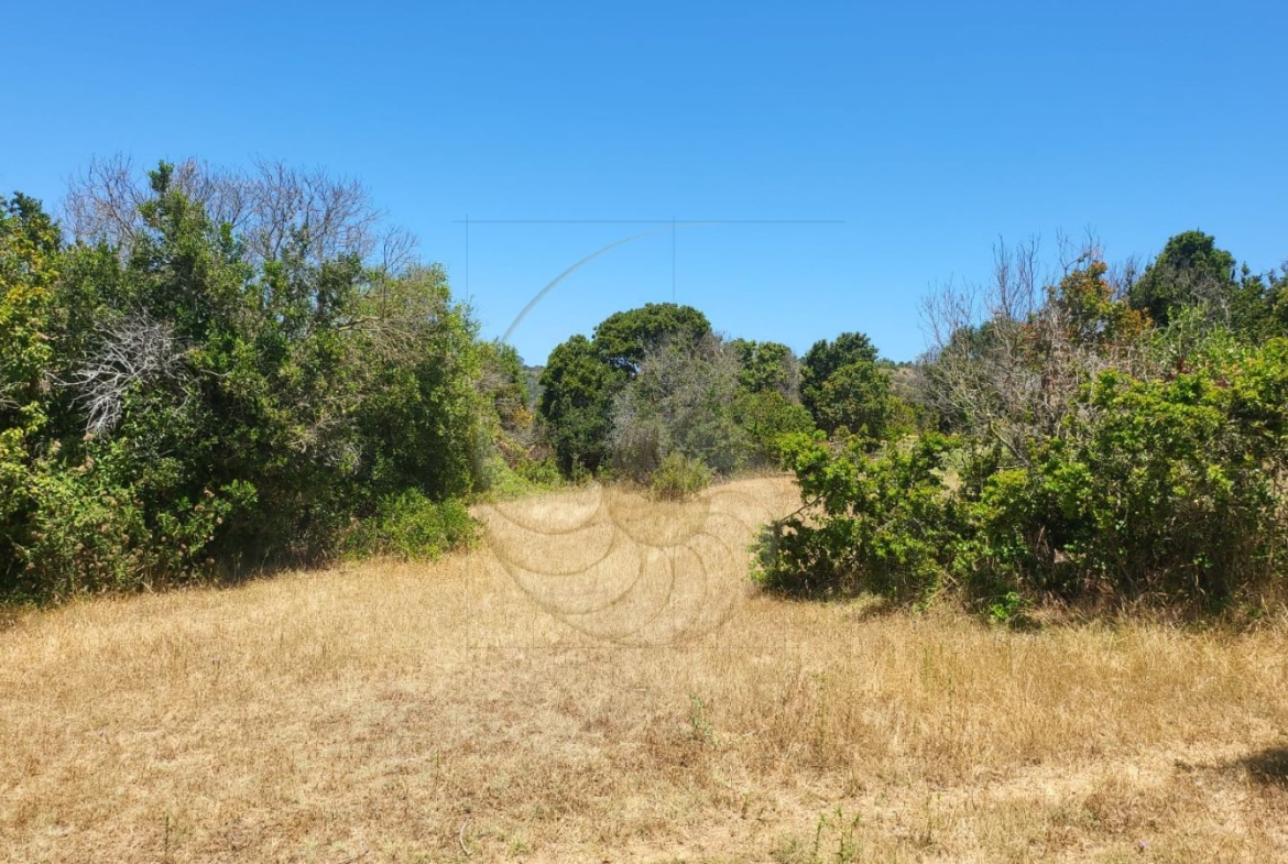 Caracola Propiedades Terreno en venta en Cachagua alto 13