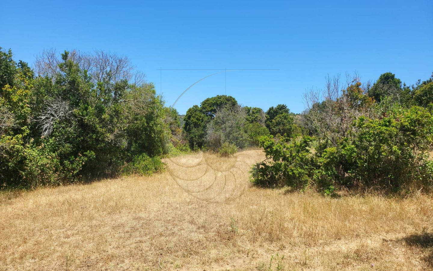 Caracola Propiedades Terreno en venta en Cachagua alto 13