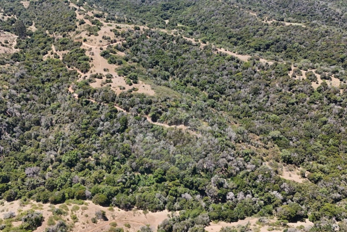 Caracola Propiedades Terreno en venta en Cachagua alto 14