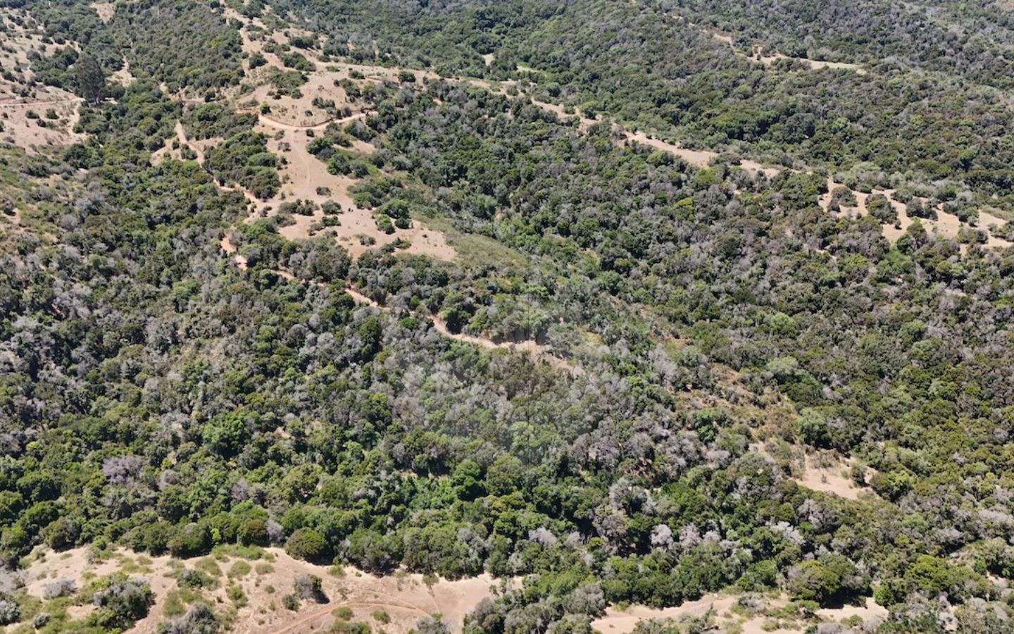 Caracola Propiedades Terreno en venta en Cachagua alto 14