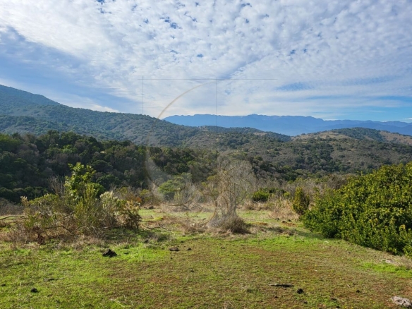 Caracola Propiedades Terreno en venta en Cachagua alto 2