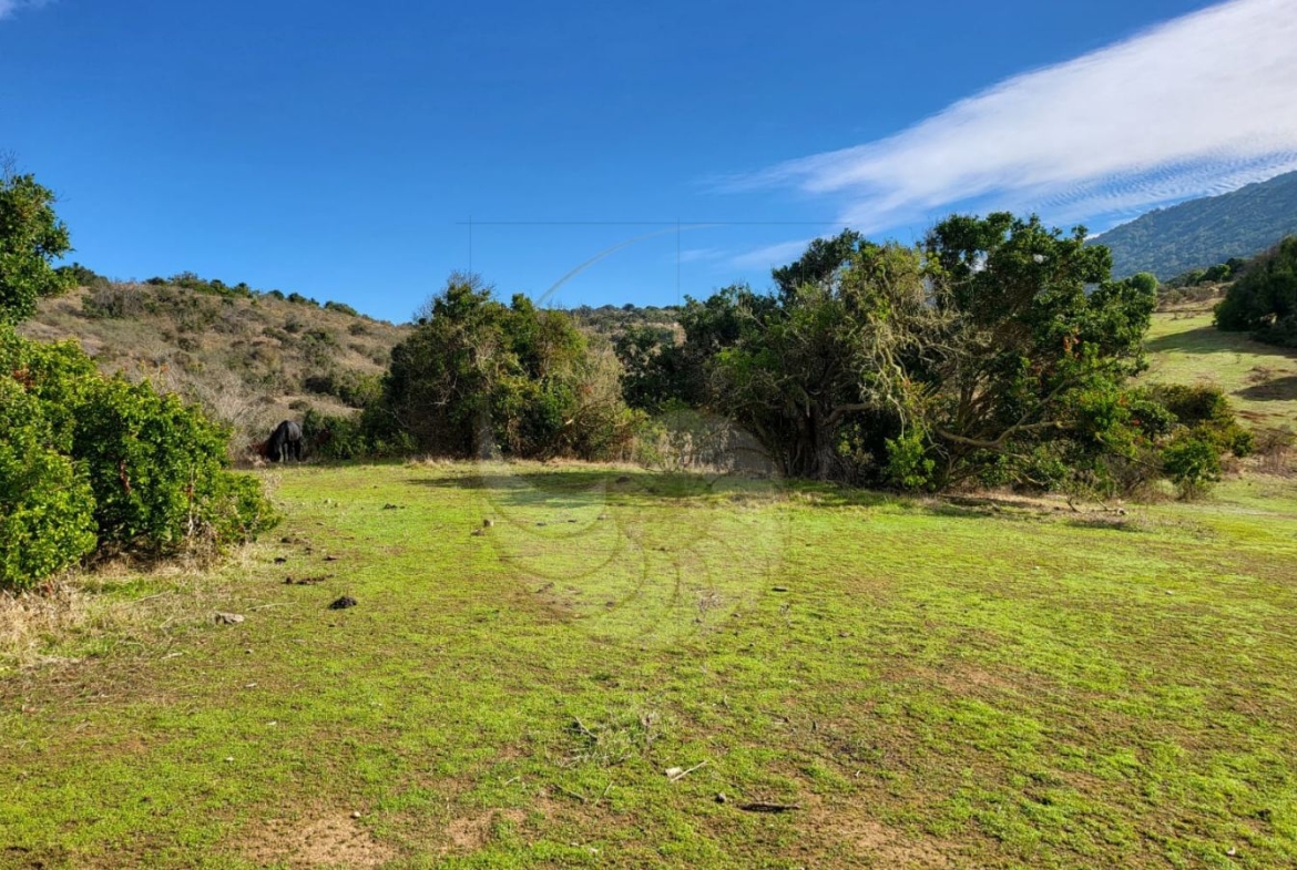 Caracola Propiedades Terreno en venta en Cachagua alto 4 (2)
