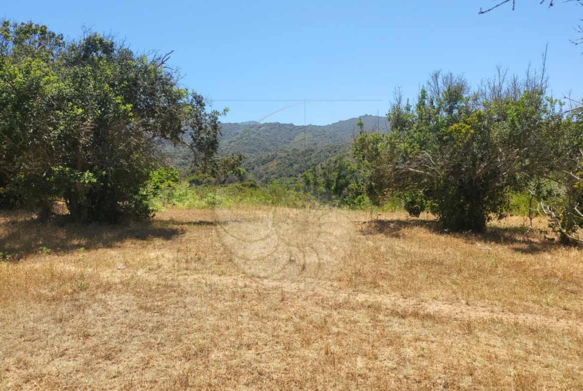 Caracola Propiedades Terreno en venta en Cachagua alto 6