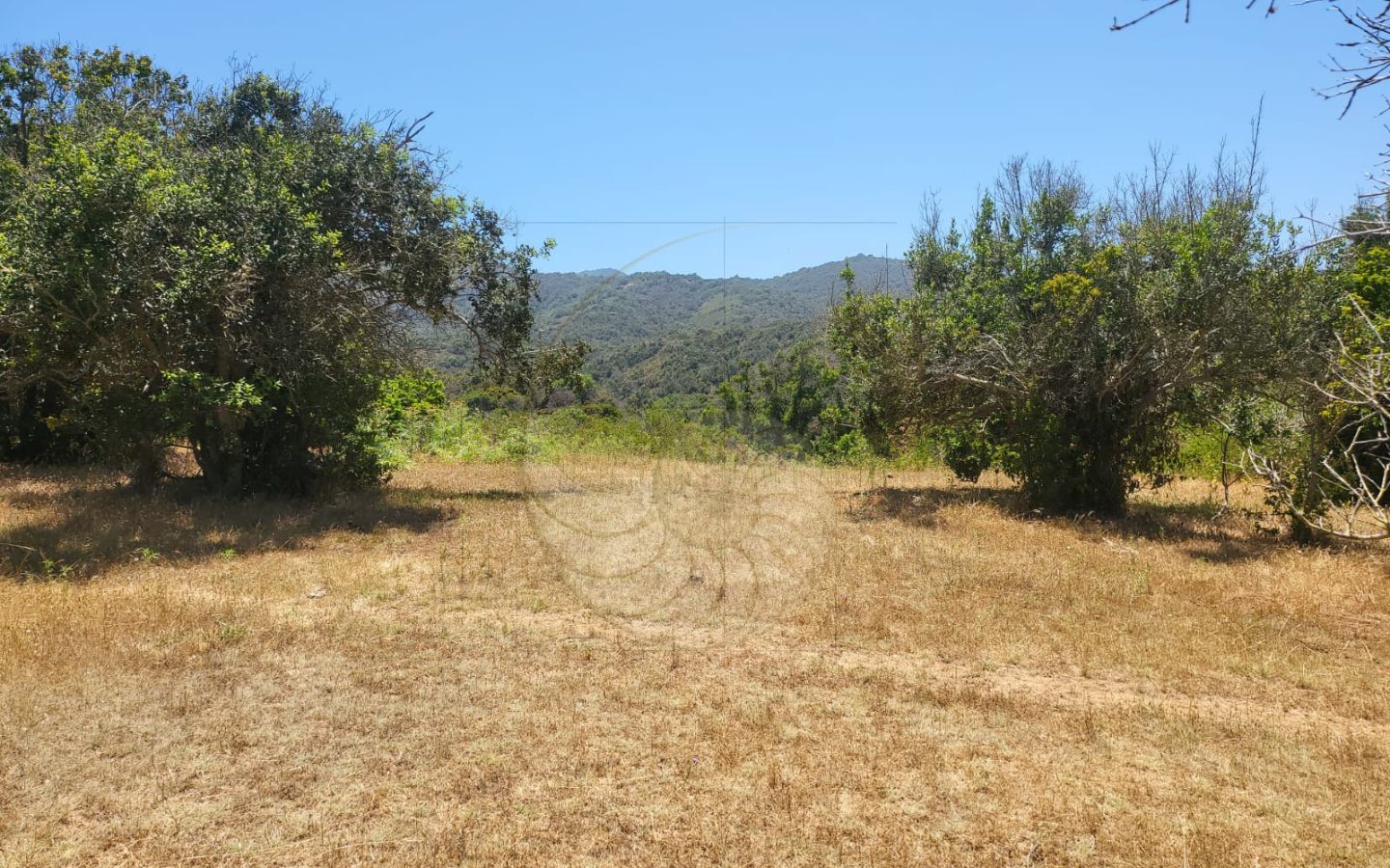 Caracola Propiedades Terreno en venta en Cachagua alto 6