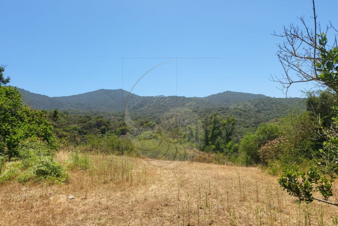 Caracola Propiedades Terreno en venta en Cachagua alto 8