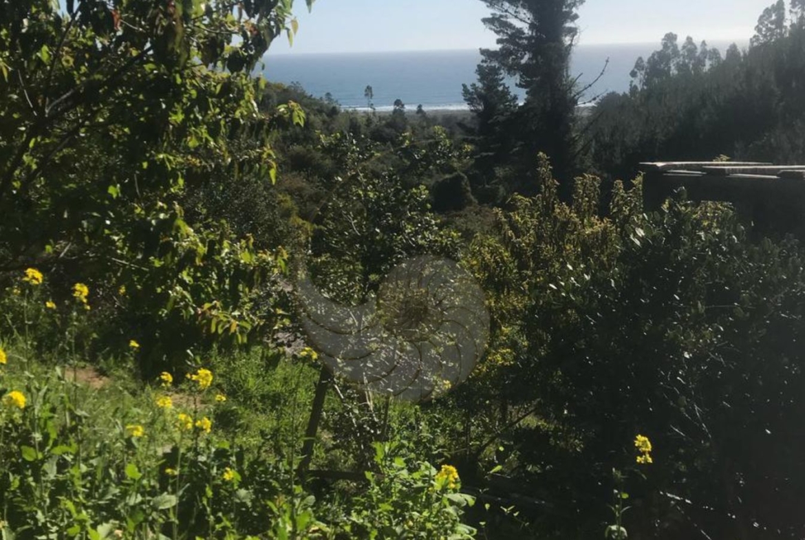 Caracola Propiedades Casa en venta en Marbella 2
