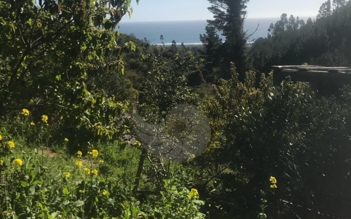 Caracola Propiedades Casa en venta en Marbella 2