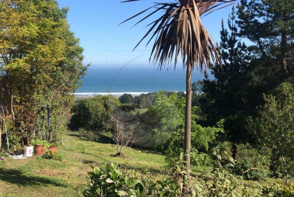 Caracola Propiedades Casa en venta en Marbella 3