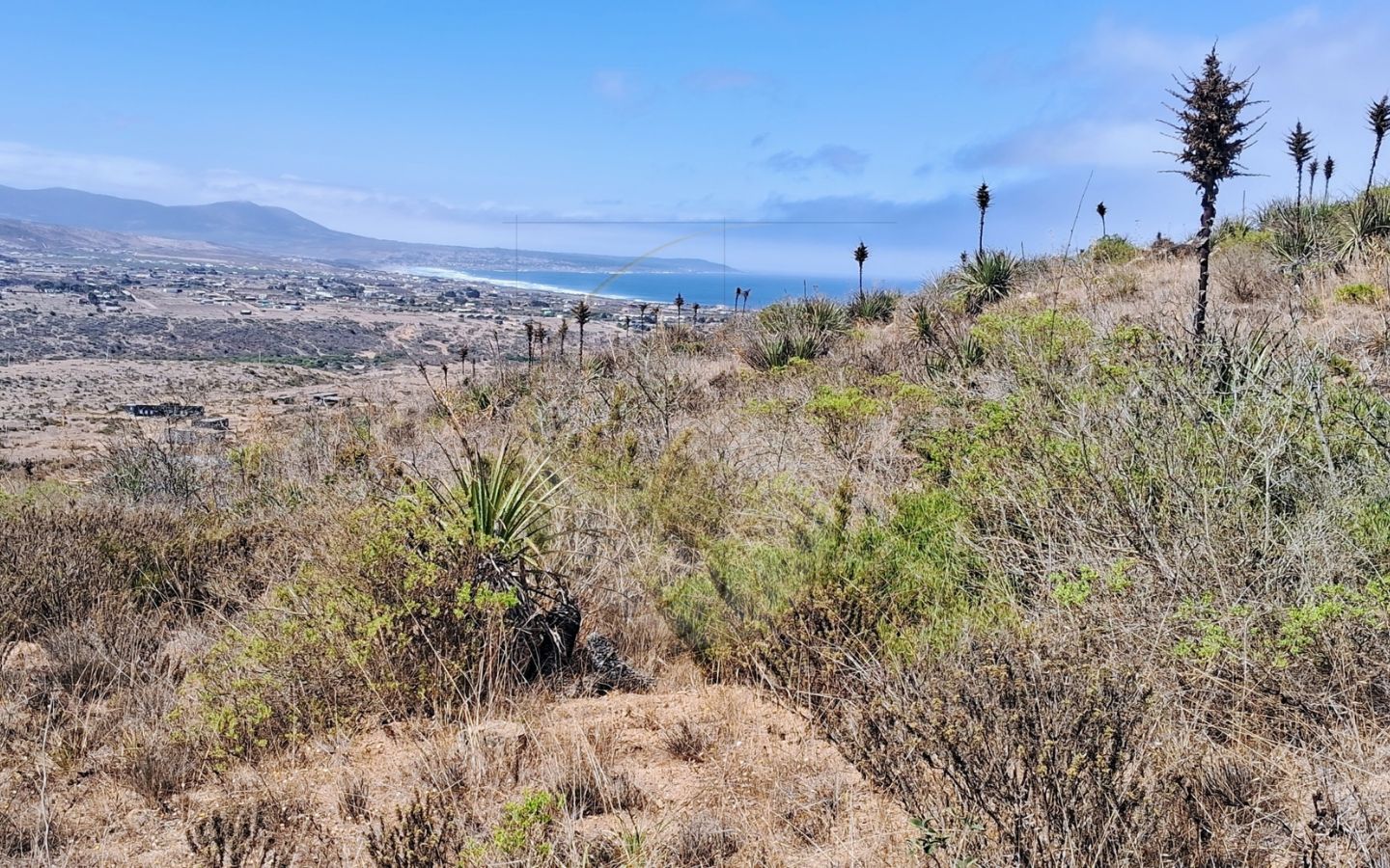Terreno en venta en Los Molles 1