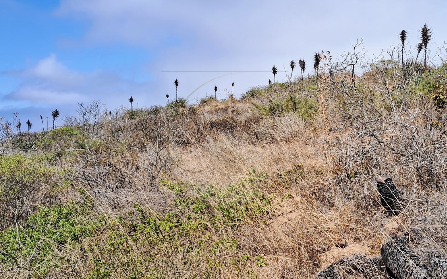 Terreno en venta en Los Molles 3