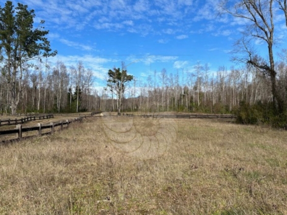 Terreno en venta en Pucón3