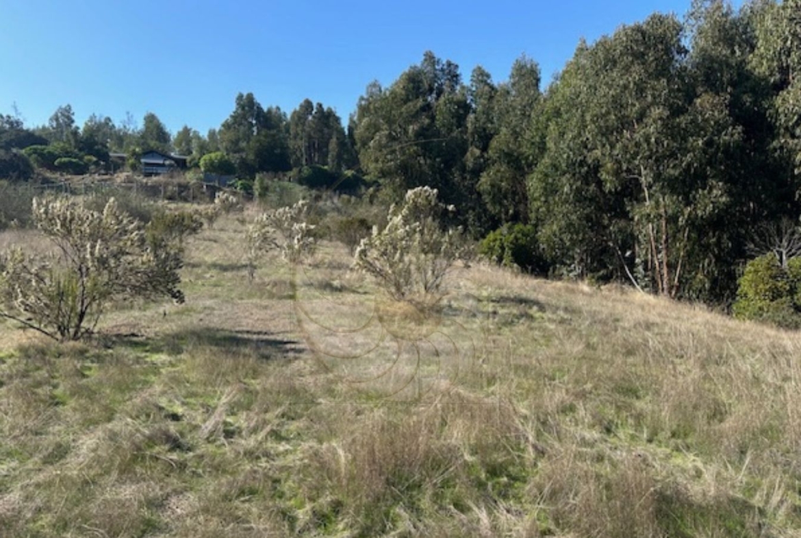 Caracola & Co. Propiedades Amplio terreno en venta con gran potencial8