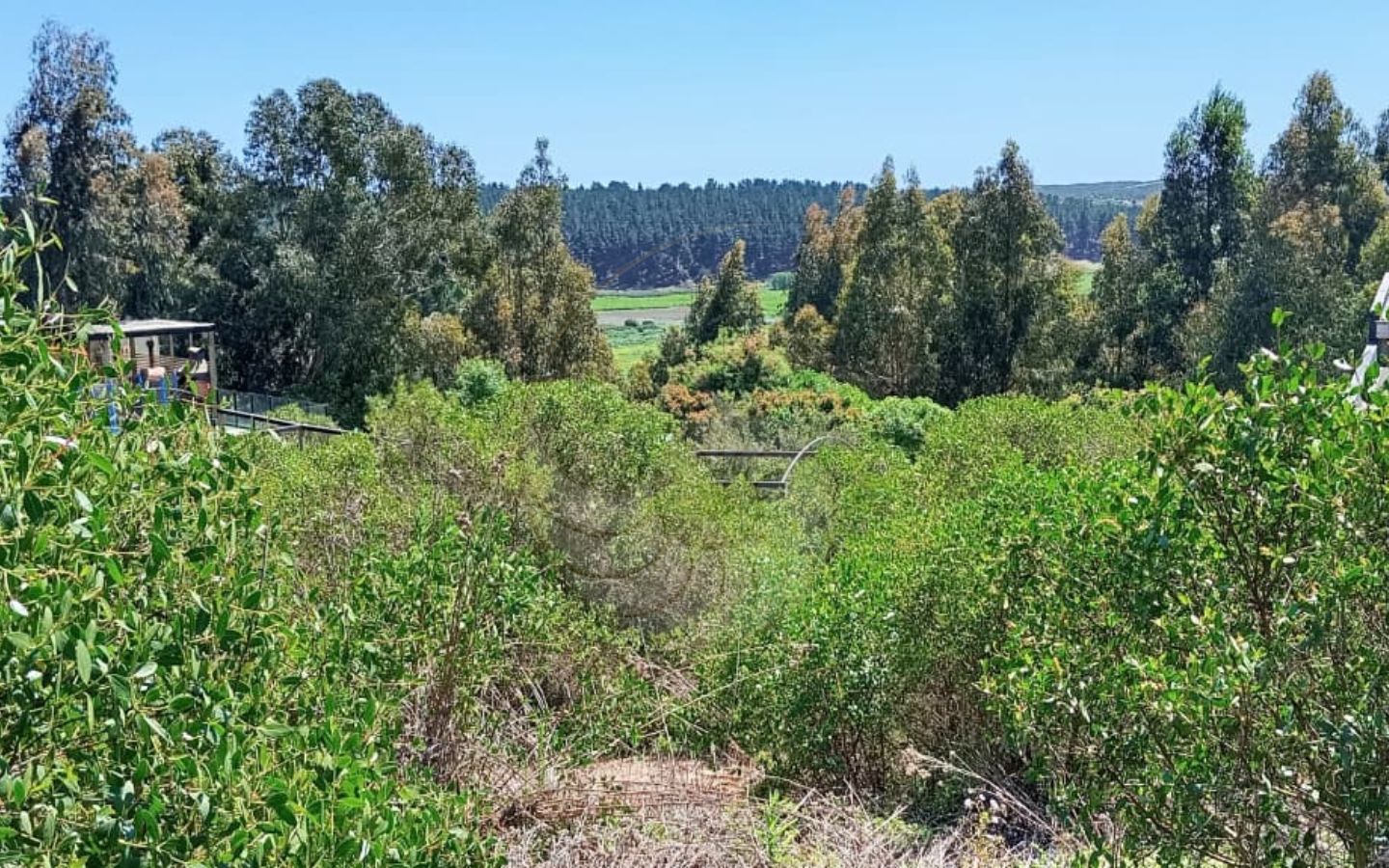 Terreno en venta en Lomas de Mantagua 8 Terreno en venta en Lomas de Mantagua 8